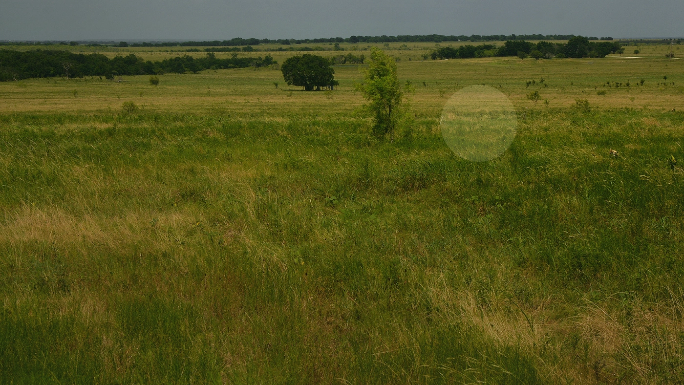 How to Sell Inherited Land in Texas Texas land guide