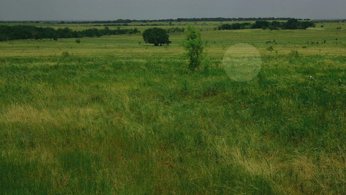 How to Sell Land Without Clear Title in Texas Texas land guide
