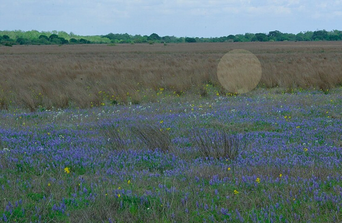 Family and closing office reviewing inherited Texas land sale documents