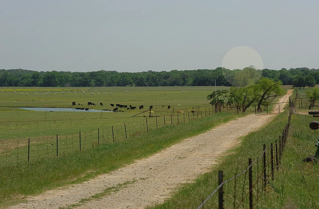 Texas land records and parcel facts for How to Sell Land Online in Texas