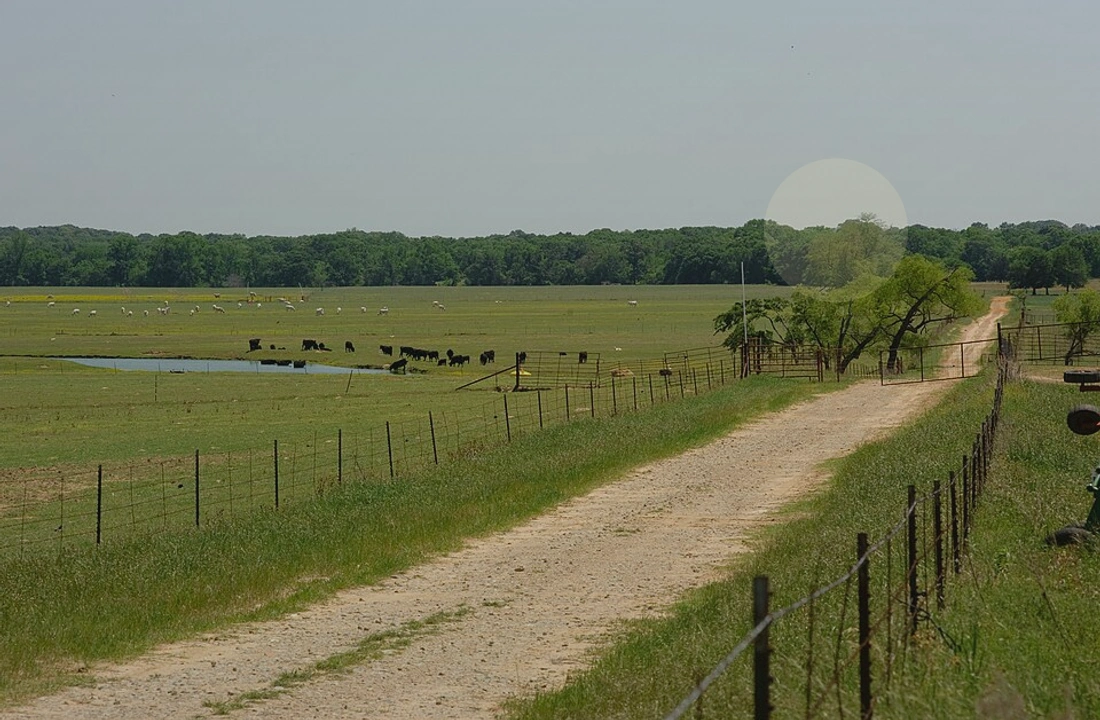 Texas land records and parcel facts for How to Sell Land Without a Realtor in Texas