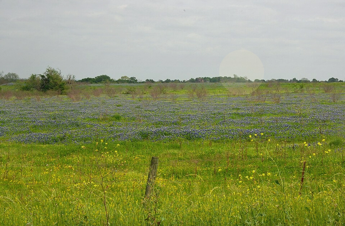 Texas land records and parcel facts for How to Sell Land Without Clear Title in Texas