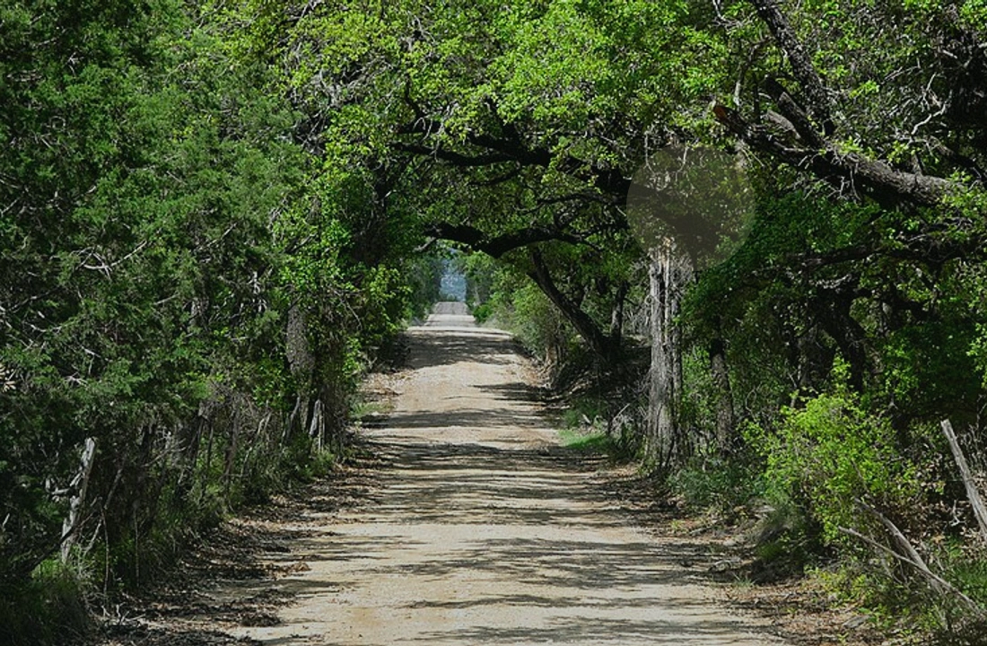 Texas land sale options and buyer review for How to Sell Land Without Clear Title in Texas