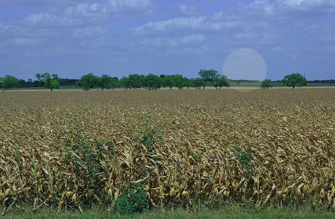 Texas land records and parcel facts for Legal Documents for Selling Land in Texas