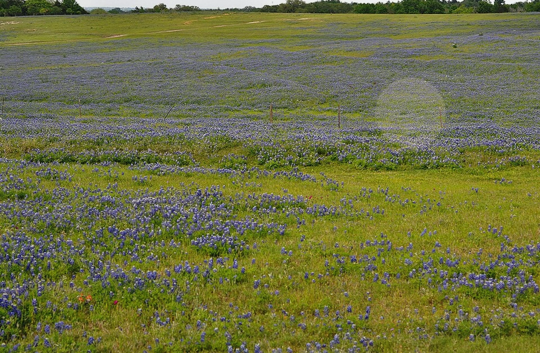 Texas land sale options and buyer review for Selling Land to a Developer in Texas