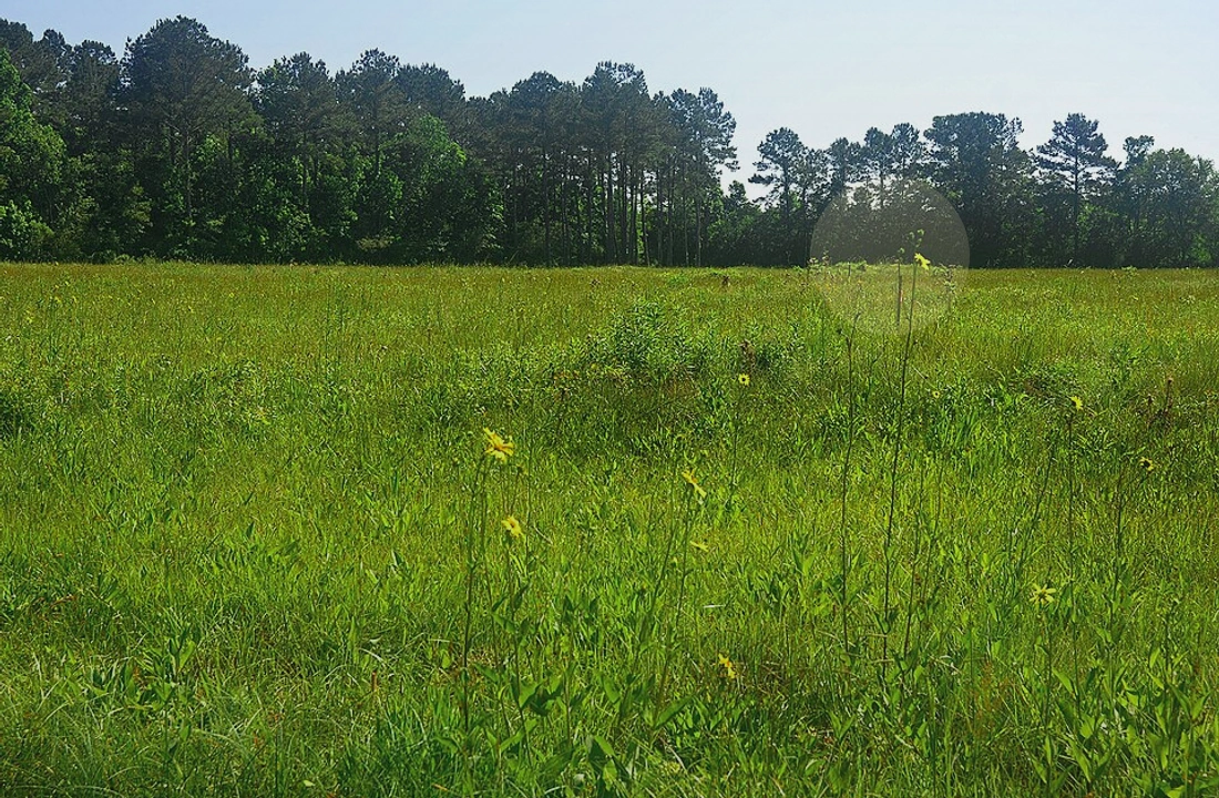 Texas land sale options and buyer review for Tax on Selling Land in Texas