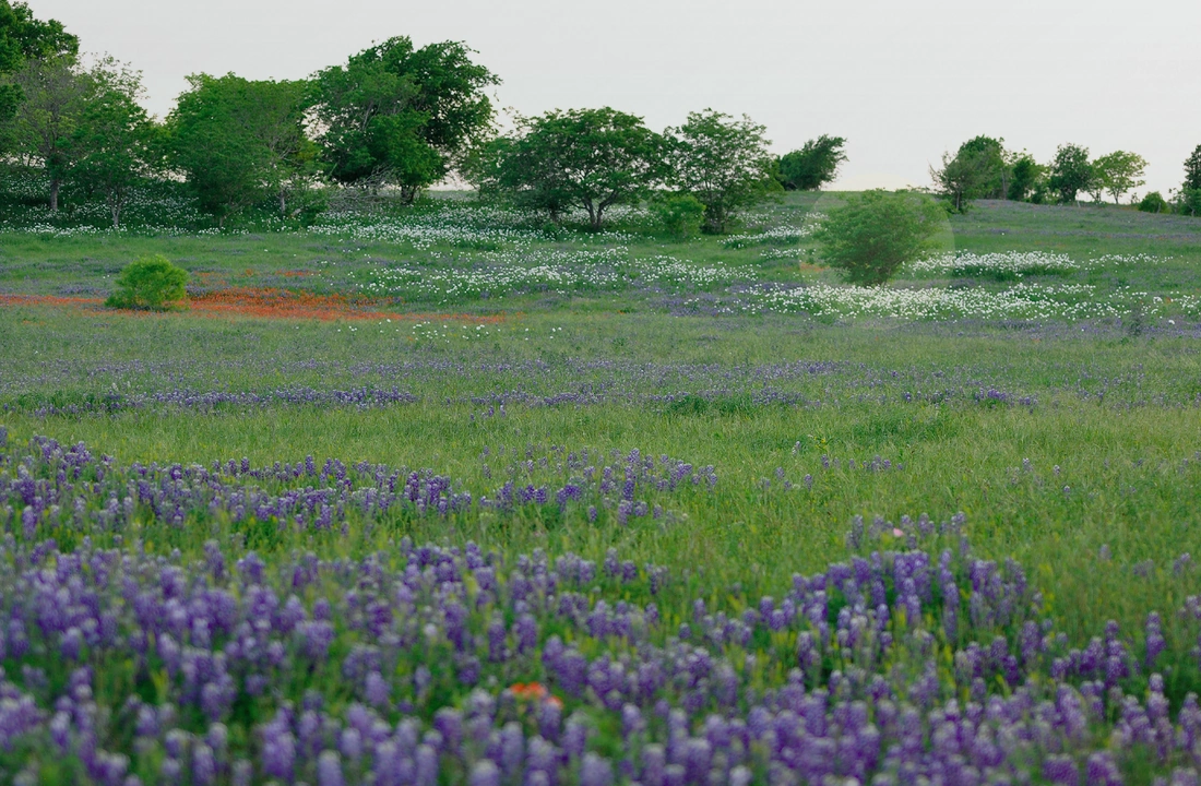 Texas title and closing preparation for Tax on Selling Land in Texas