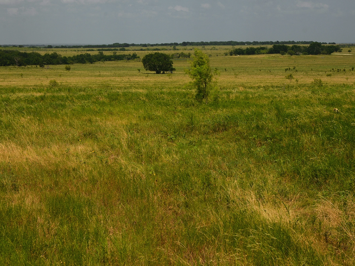 Ranch Acreage in Travis County