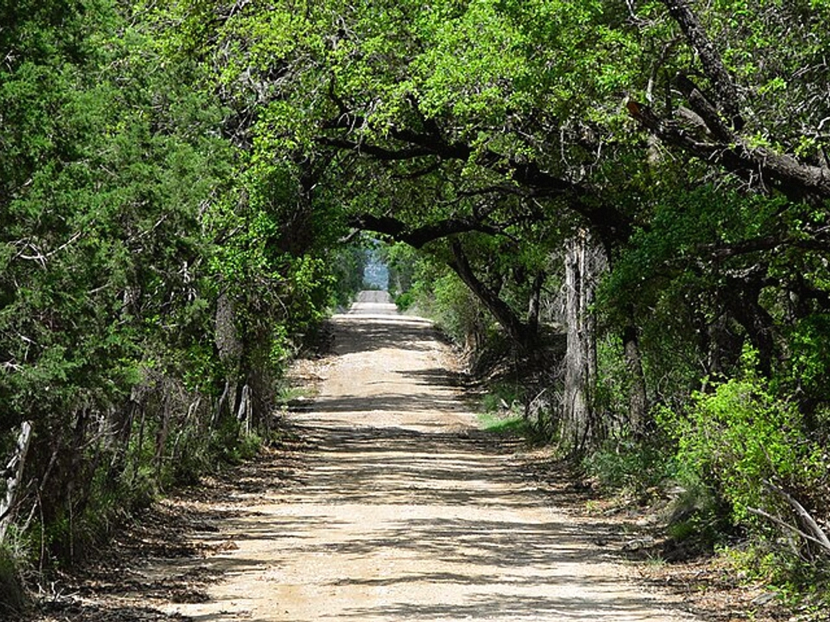 Rural Access Parcels in Travis County